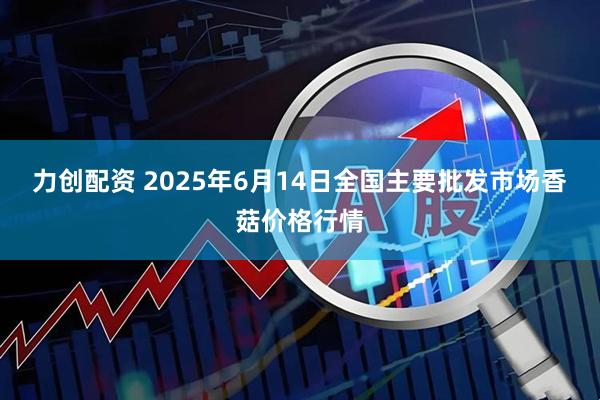 力创配资 2025年6月14日全国主要批发市场香菇价格行情